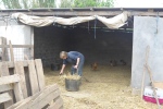 cleaning the hay barn argh!!