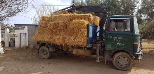 One of the many smaller deliveries brought in on a 3-wheeler. The main road from Skyros port collapsed due to awful weather during the winter, preventing the larger lorry from accessing the farm. Very lucky to have friends who help us out in desperate circumstances!